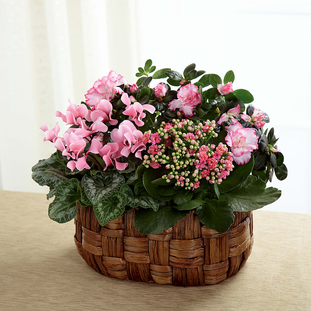 Pink Assortment – Greenery Plus Florist, Monroe NY