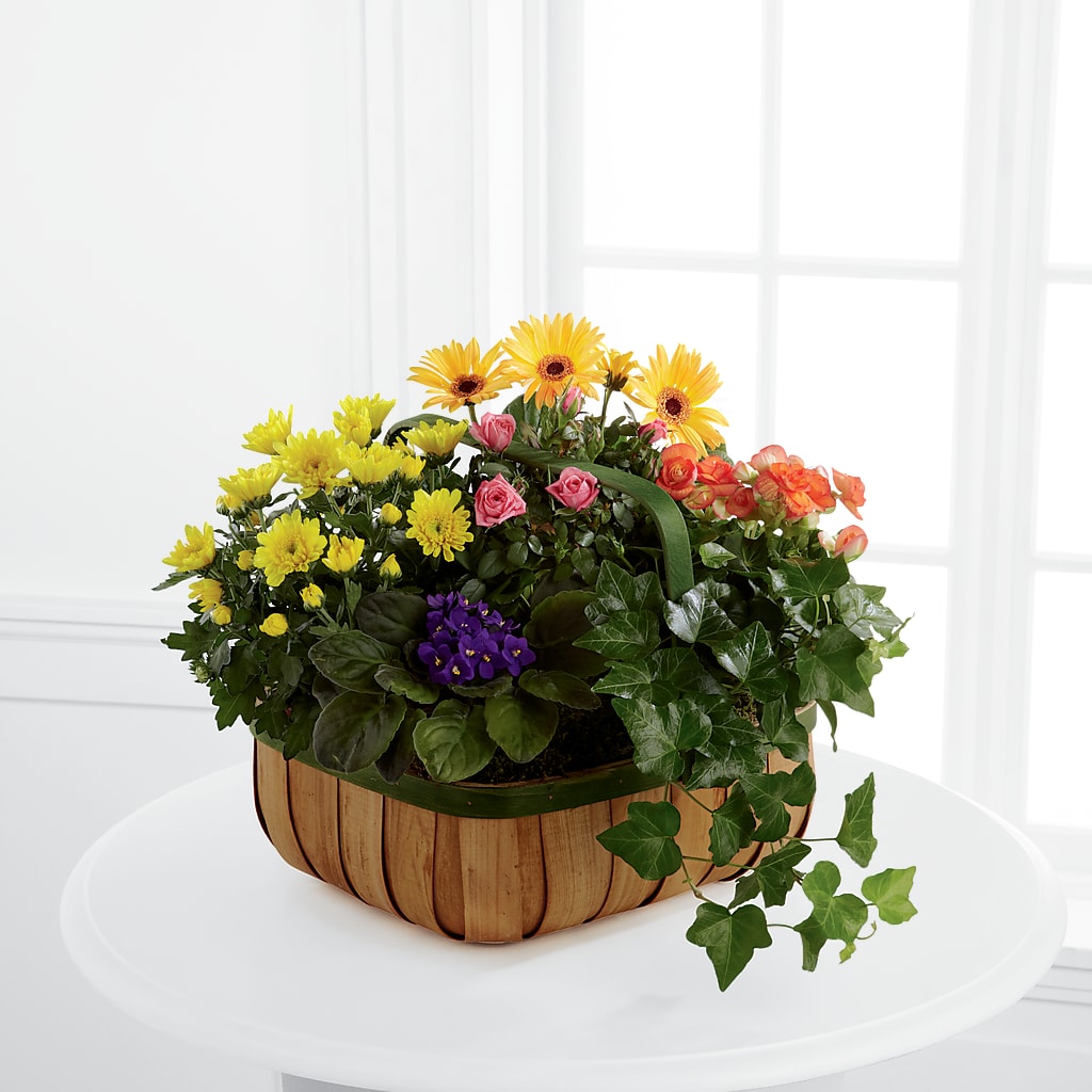 Gentle Blossoms Basket – Greenery Plus Florist, Monroe NY