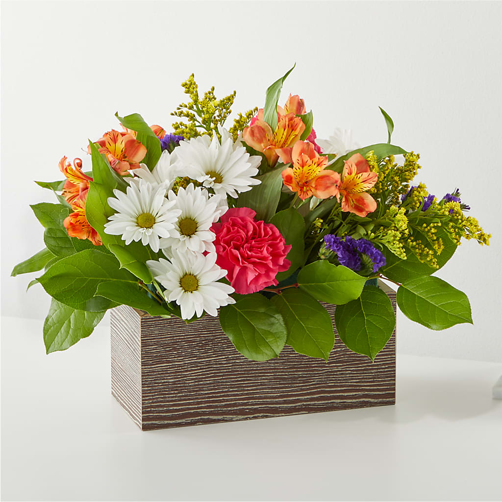 Oopsie Daisy Box Bouquet – Greenery Plus Florist, Monroe NY