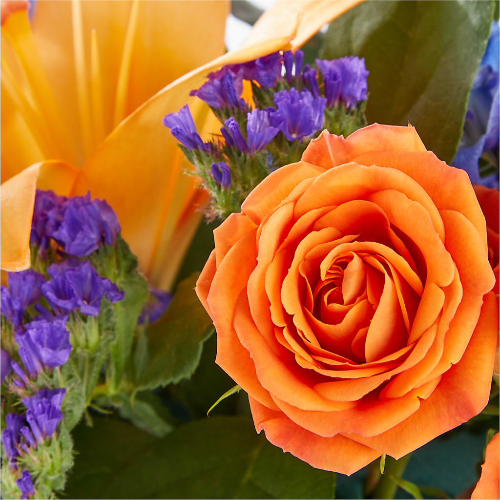 Radiant Citrus Box Bouquet – Greenery Plus Florist, Monroe NY