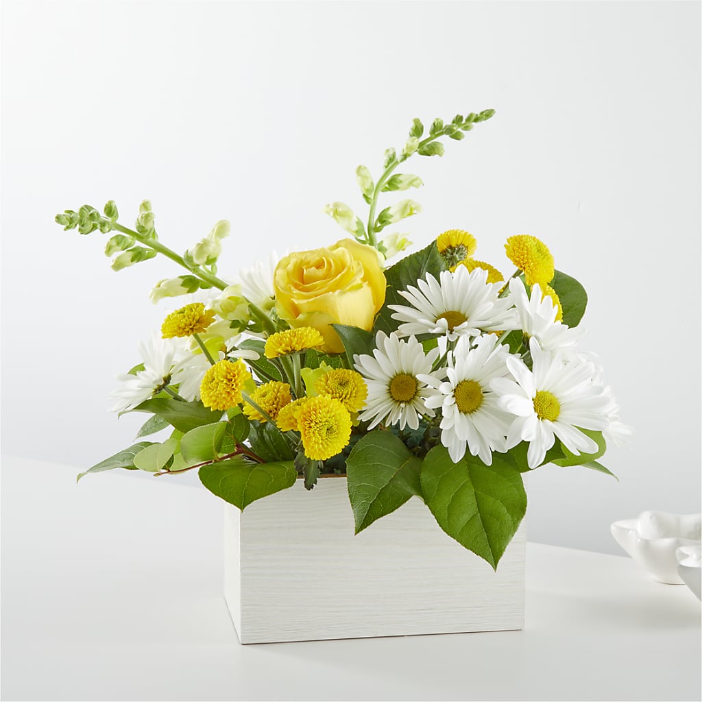 Sun Salutation Box Bouquet – Greenery Plus Florist, Monroe NY