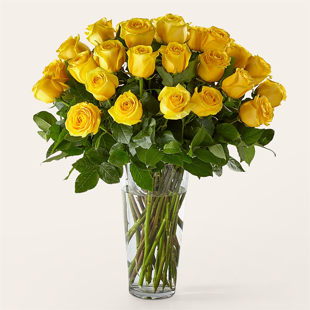 Long Stem Yellow Rose Bouquet – Greenery Plus Florist, Monroe NY