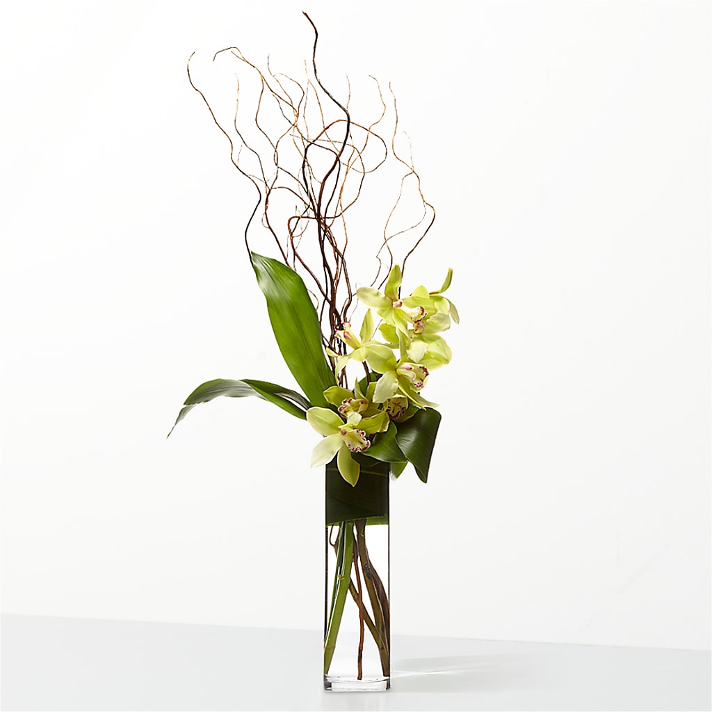 The Statement – Greenery Plus Florist, Monroe NY