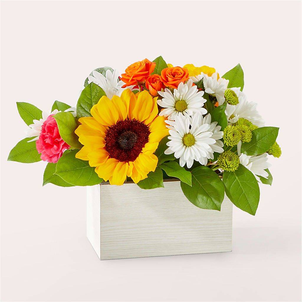 Sun-drenched Blooms Box Bouquet – Greenery Plus Florist, Monroe NY