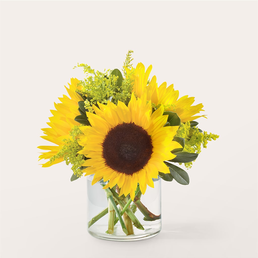 Beaming Sunflower Bouquet – Greenery Plus Florist, Monroe NY