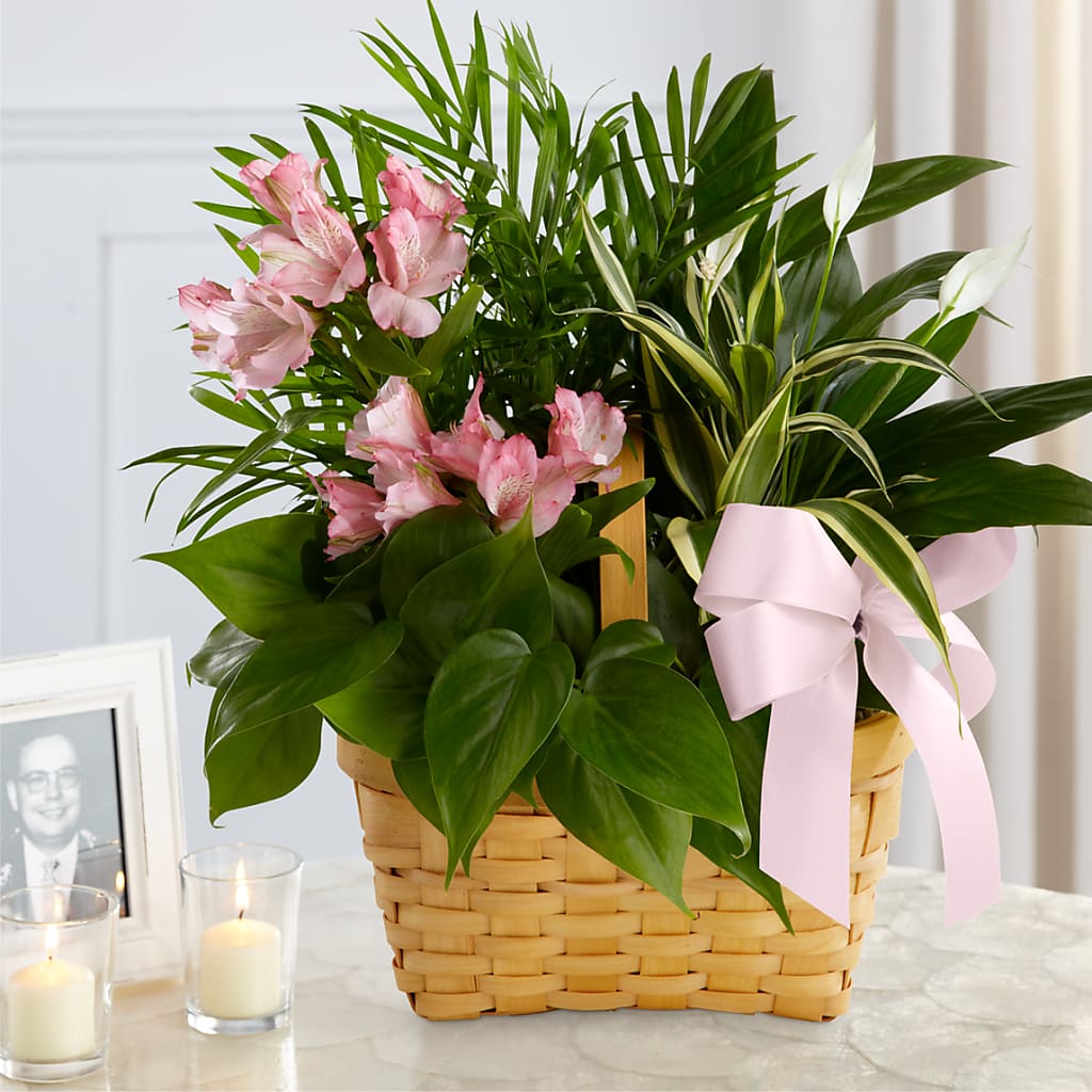 Living Spirit Dishgarden – Greenery Plus Florist, Monroe NY