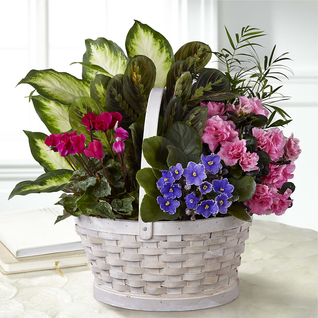 Peaceful Garden Planter – Greenery Plus Florist, Monroe NY