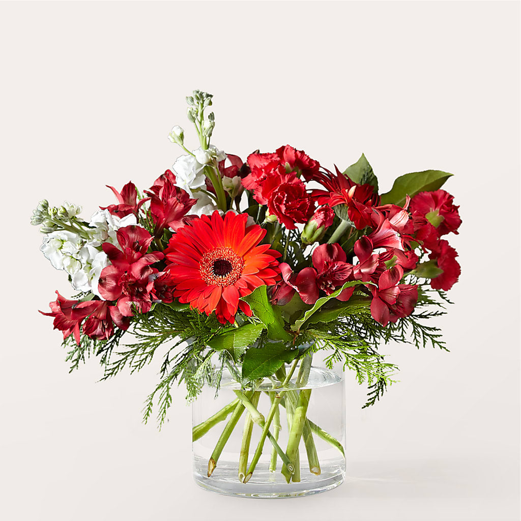Holidaisy Bouquet – Greenery Plus Florist, Monroe NY