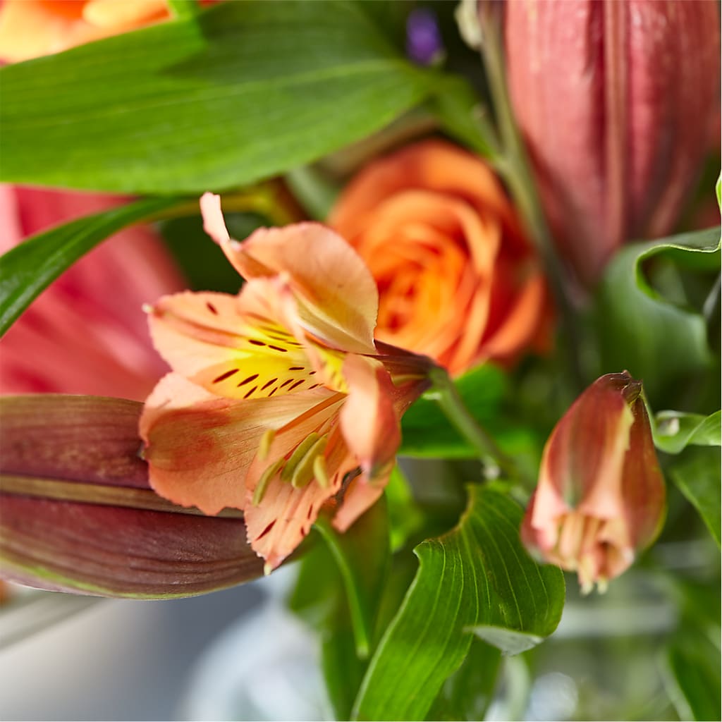 Bold & Bright – A Florist Original –  Greenery Plus Florist, Monroe NY