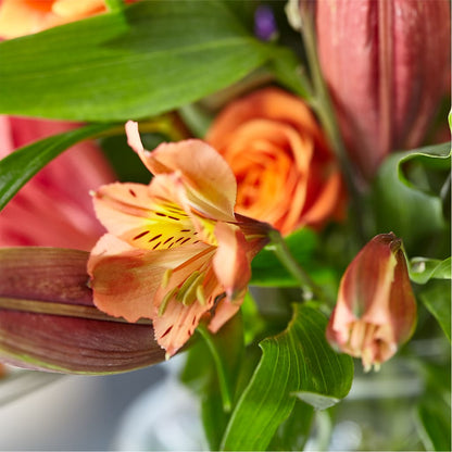 Bold & Bright – A Florist Original –  Greenery Plus Florist, Monroe NY