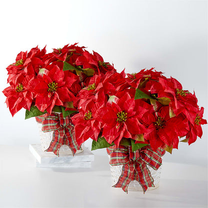 Happiest Holidays Poinsettia Bundle –  Greenery Plus Florist, Monroe NY
