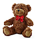 Adorable Plush Bear –  Greenery Plus Florist, Monroe NY