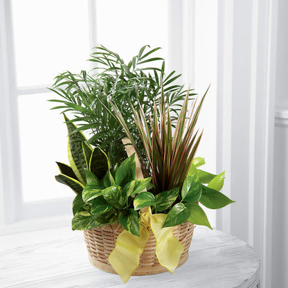 French Garden –  Greenery Plus Florist, Monroe NY