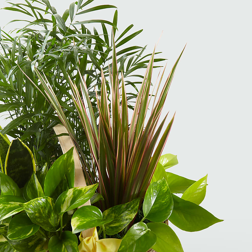 French Garden –  Greenery Plus Florist, Monroe NY
