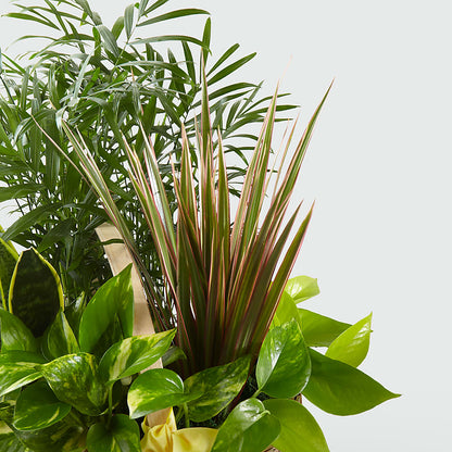 French Garden –  Greenery Plus Florist, Monroe NY
