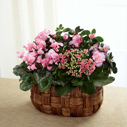 Pink Assortment –  Greenery Plus Florist, Monroe NY