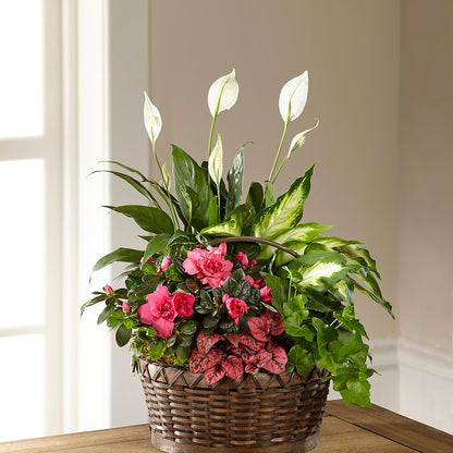 Dream in Pink Dishgarden –  Greenery Plus Florist, Monroe NY