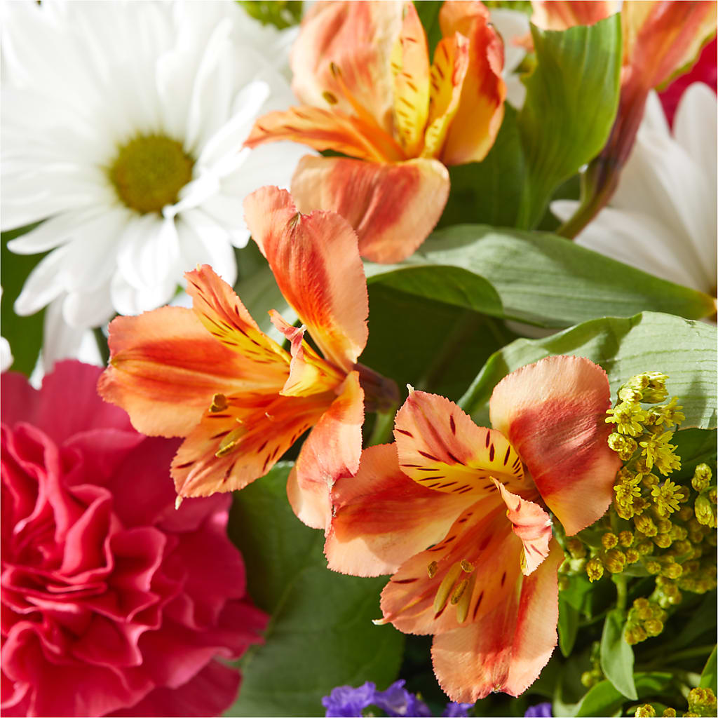 Oopsie Daisy Box Bouquet –  Greenery Plus Florist, Monroe NY