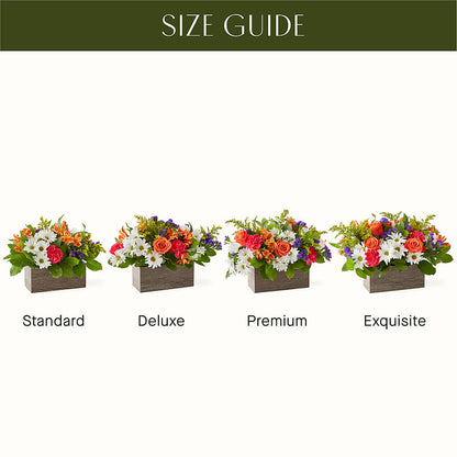 Oopsie Daisy Box Bouquet –  Greenery Plus Florist, Monroe NY