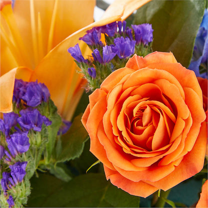 Radiant Citrus Box Bouquet –  Greenery Plus Florist, Monroe NY