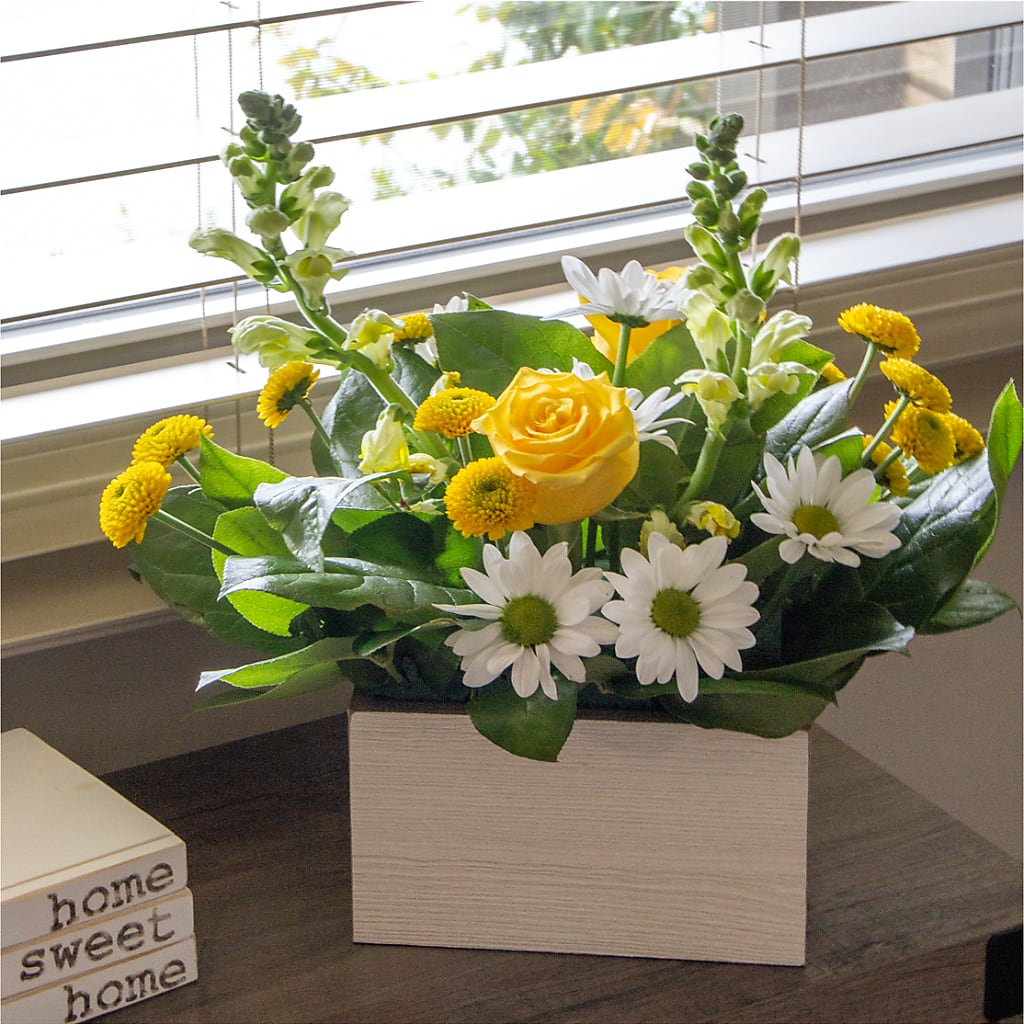 Sun Salutation Box Bouquet –  Greenery Plus Florist, Monroe NY