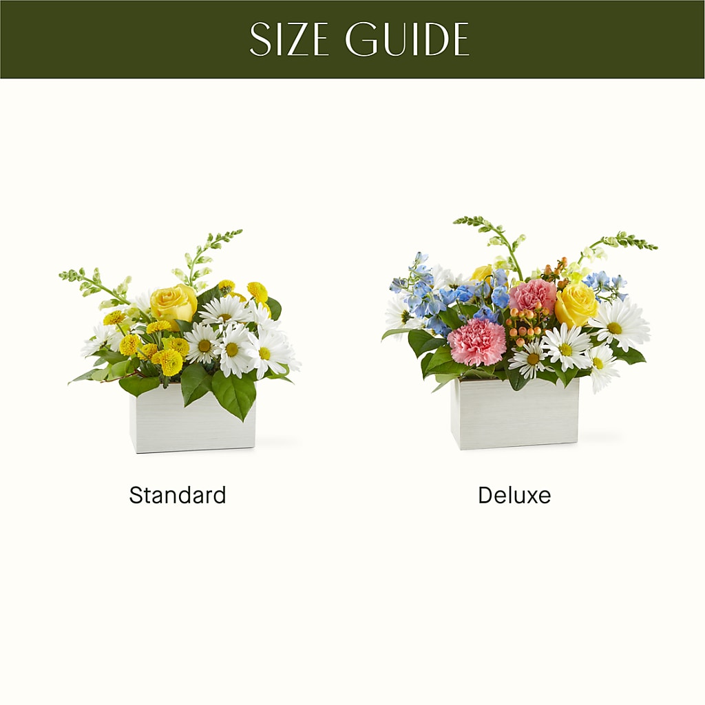 Sun Salutation Box Bouquet –  Greenery Plus Florist, Monroe NY