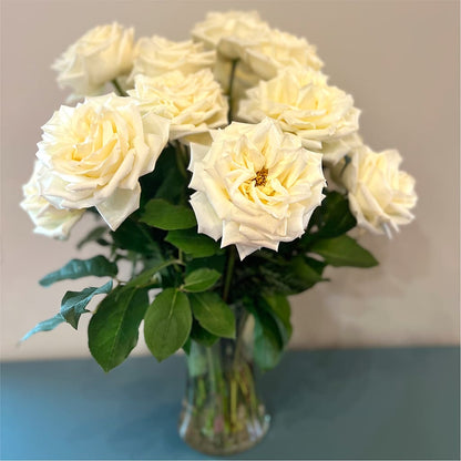Long Stem Yellow Rose Bouquet –  Greenery Plus Florist, Monroe NY