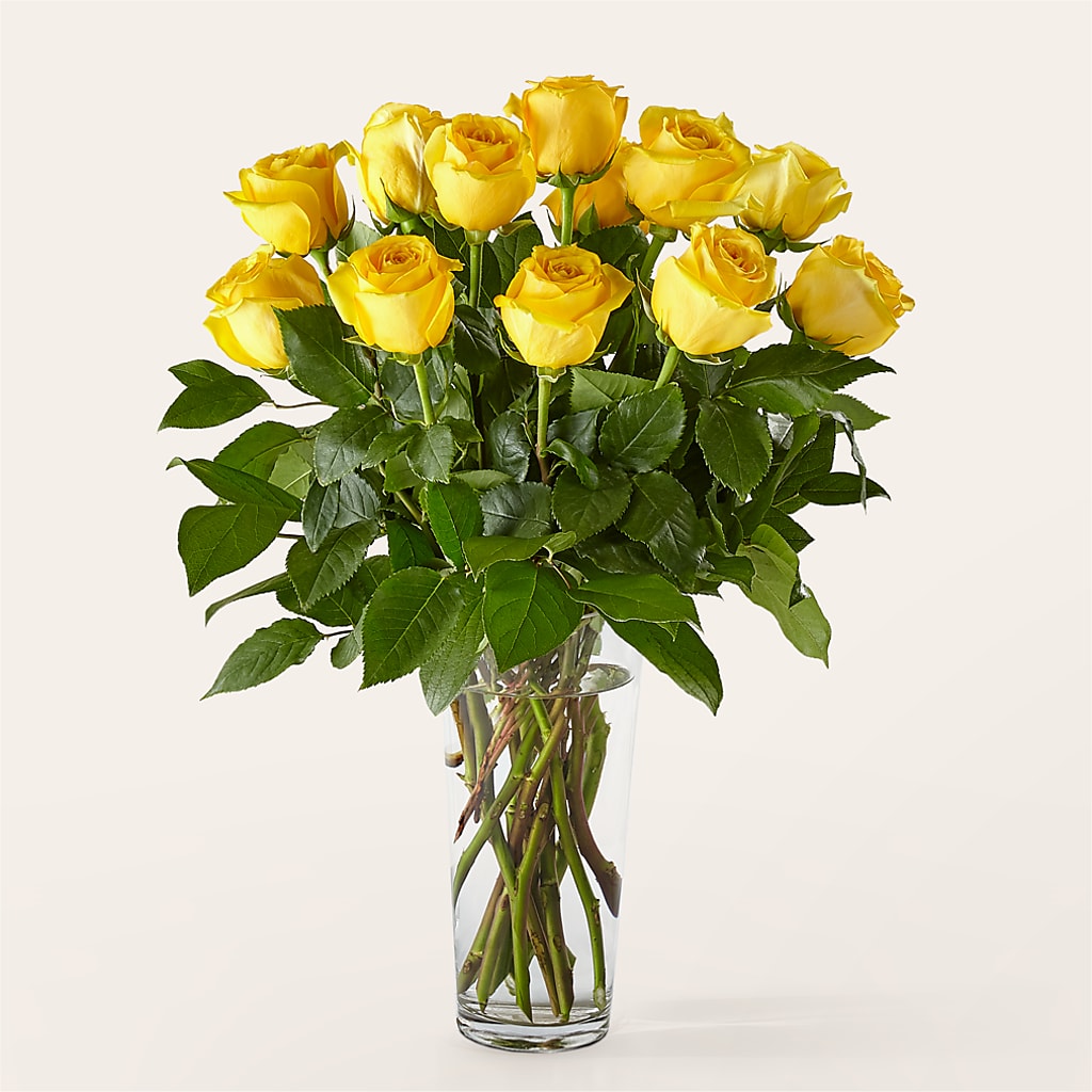Long Stem Yellow Rose Bouquet –  Greenery Plus Florist, Monroe NY