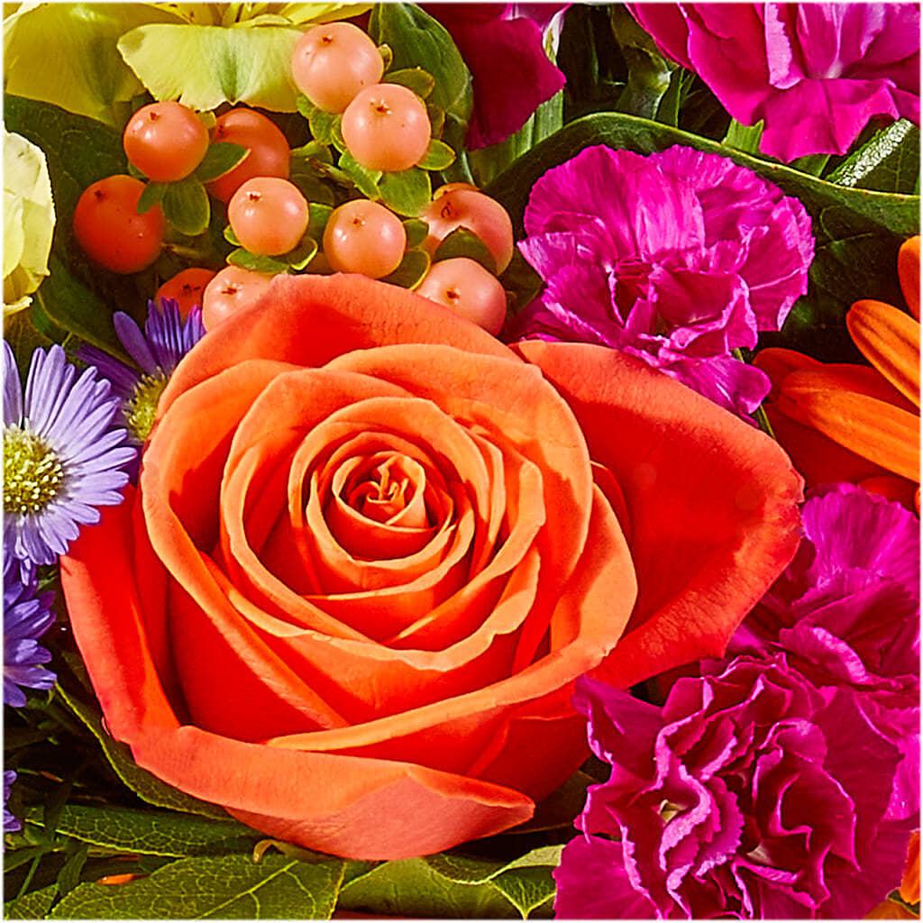 Tricks & Treats Pumpkin –  Greenery Plus Florist, Monroe NY