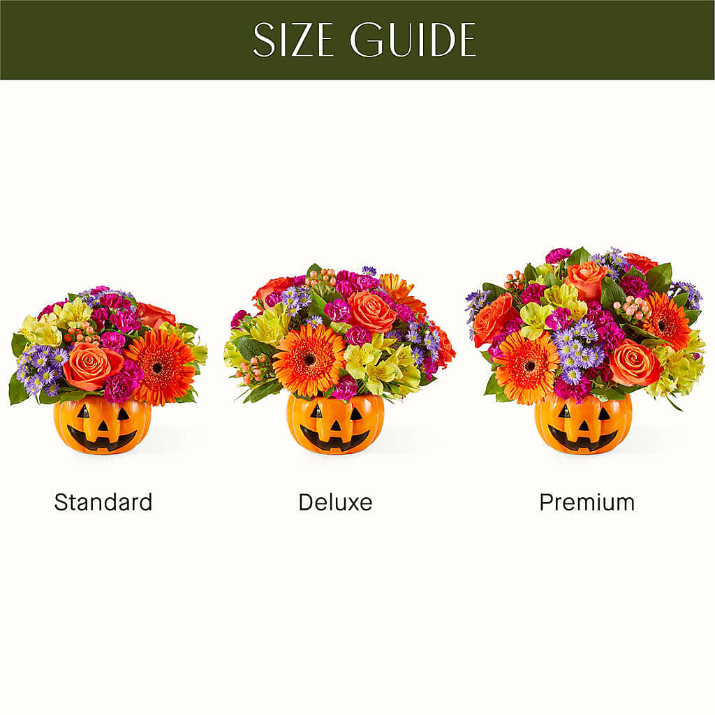 Tricks & Treats Pumpkin –  Greenery Plus Florist, Monroe NY