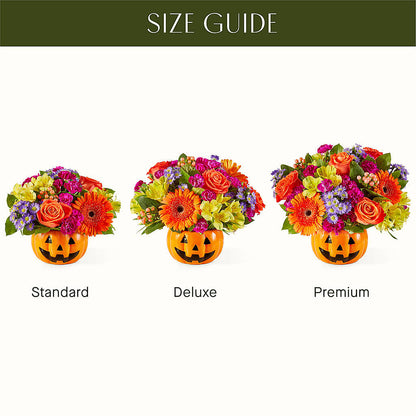 Tricks & Treats Pumpkin –  Greenery Plus Florist, Monroe NY