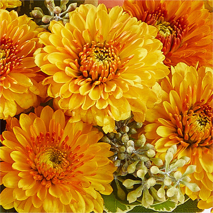 Peachy Pumpkin –  Greenery Plus Florist, Monroe NY