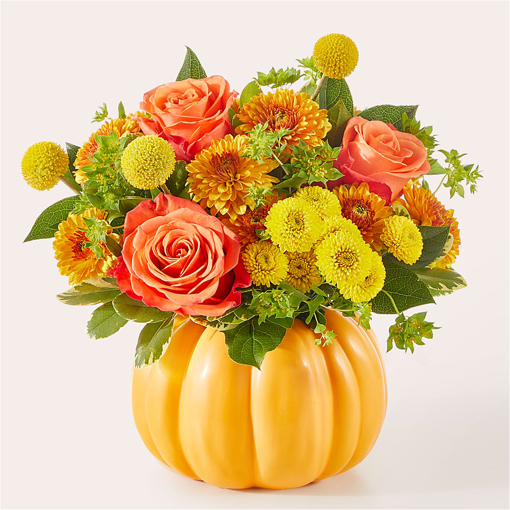 Gourdgeous Pumpkin –  Greenery Plus Florist, Monroe NY