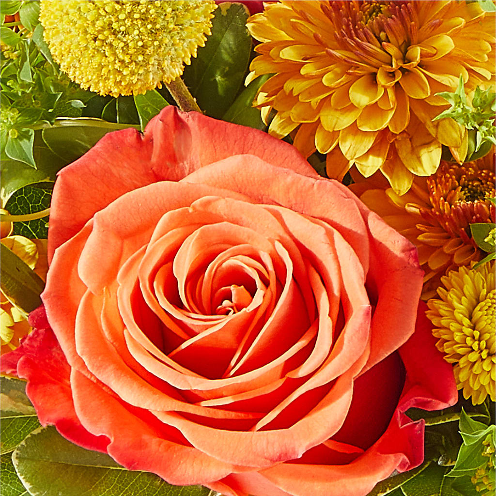 Gourdgeous Pumpkin –  Greenery Plus Florist, Monroe NY