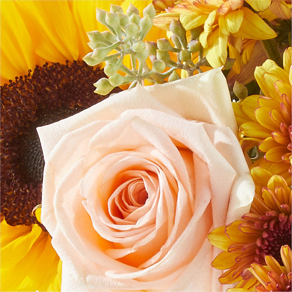 Pumpkin to Talk About Bouquet –  Greenery Plus Florist, Monroe NY