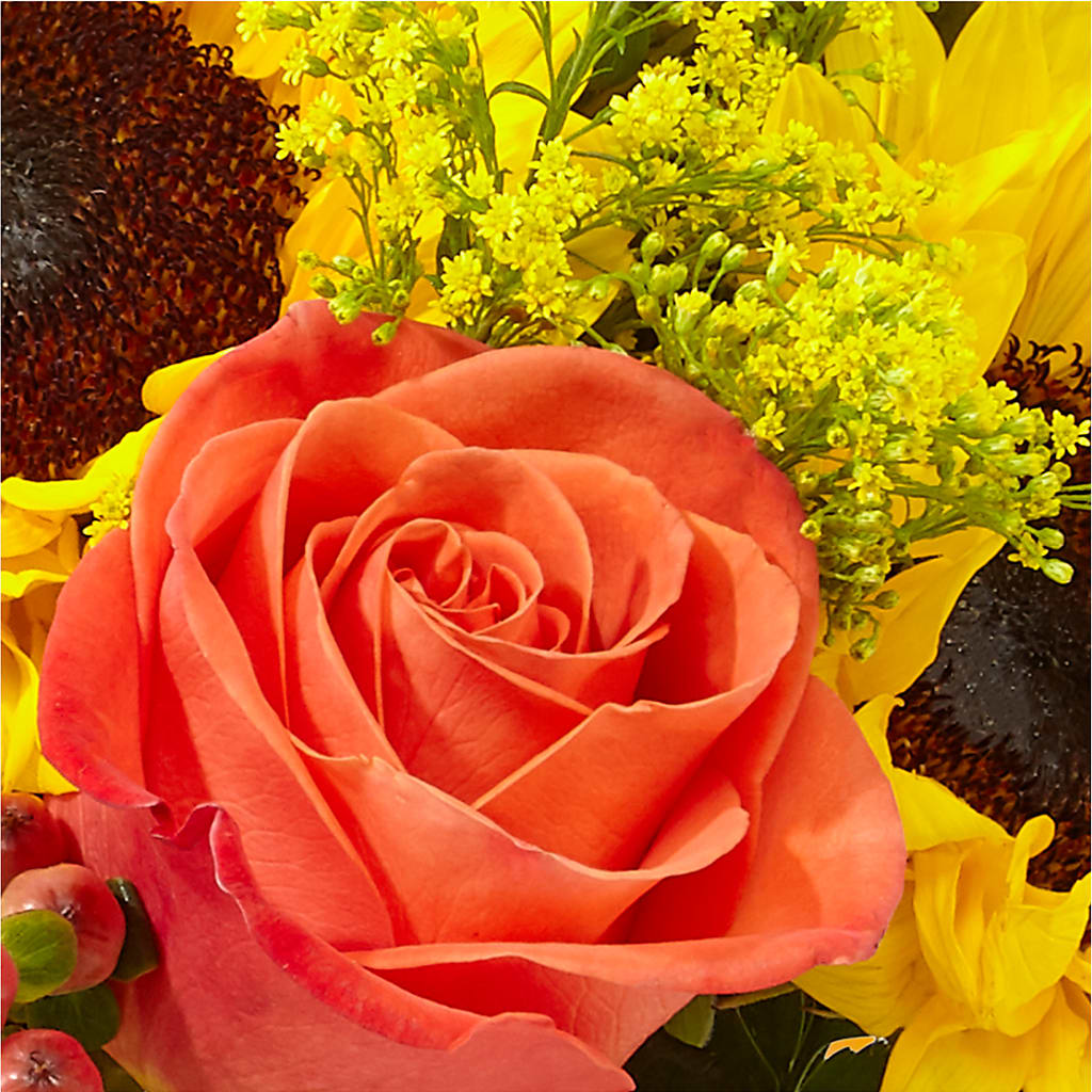 Pick of the Patch Pumpkin Bouquet –  Greenery Plus Florist, Monroe NY