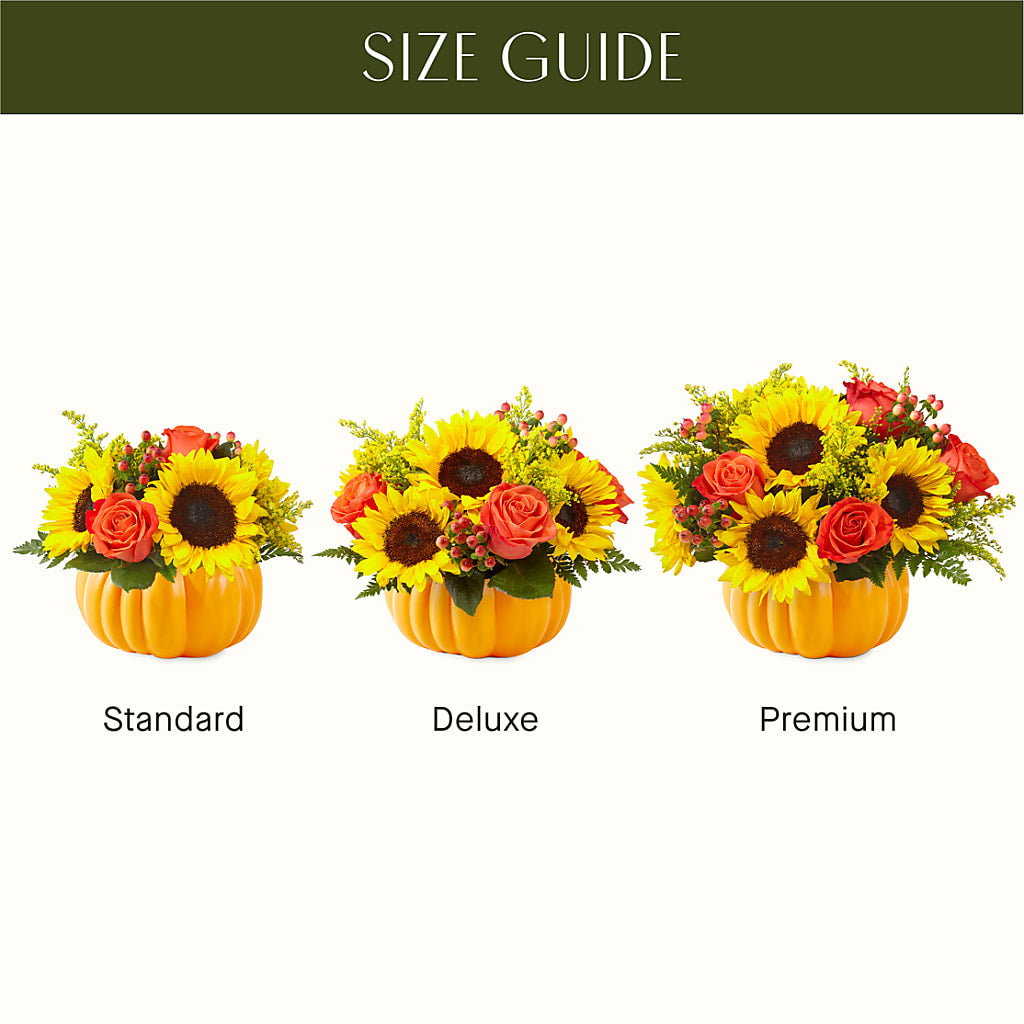 Pick of the Patch Pumpkin Bouquet –  Greenery Plus Florist, Monroe NY
