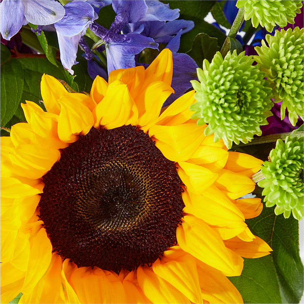 Catching Rays Bouquet –  Greenery Plus Florist, Monroe NY