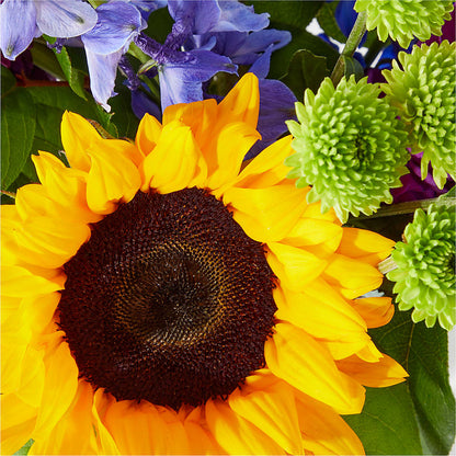 Catching Rays Bouquet –  Greenery Plus Florist, Monroe NY