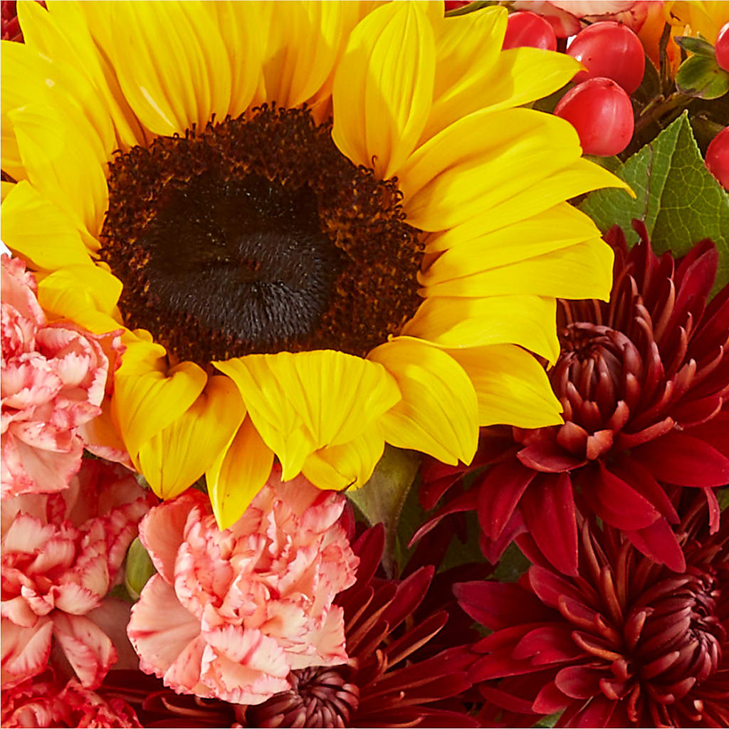 Fresh Cider Bouquet –  Greenery Plus Florist, Monroe NY