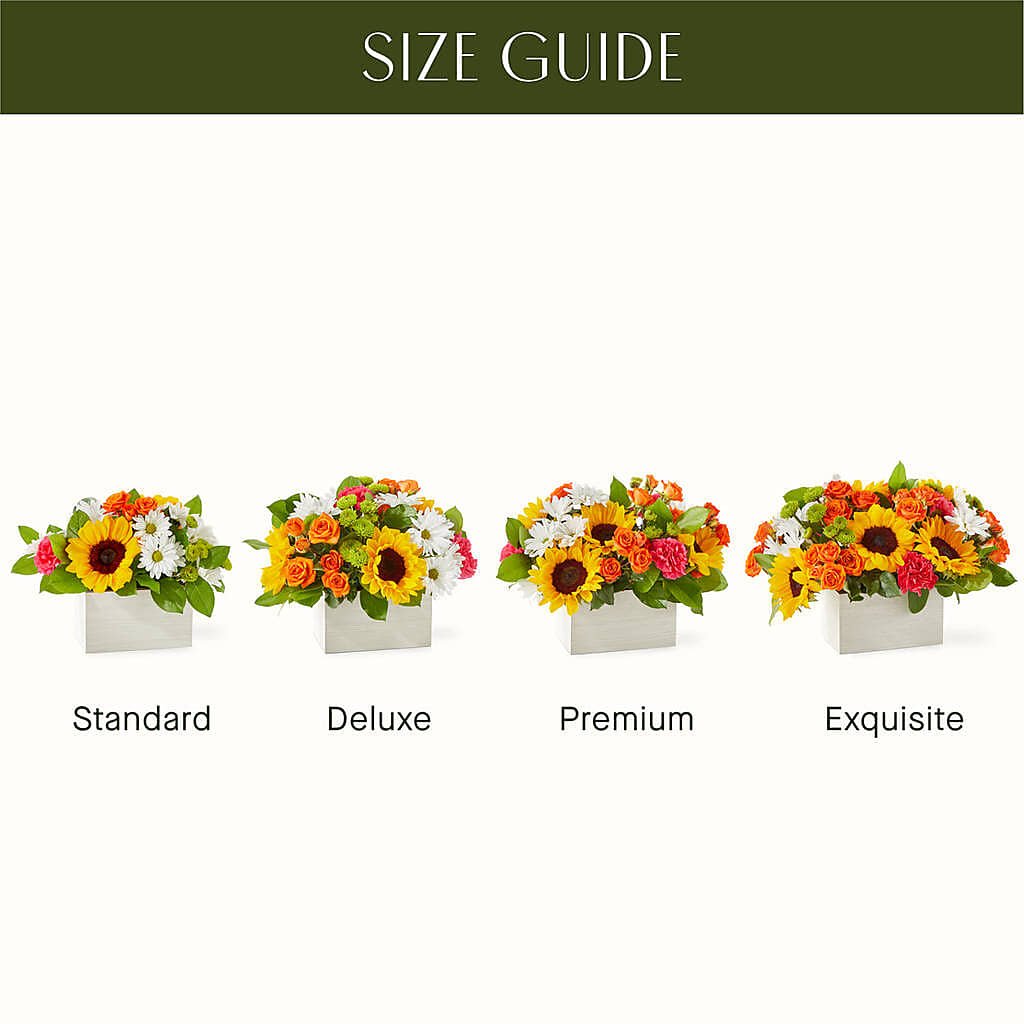 Sun-drenched Blooms Box Bouquet –  Greenery Plus Florist, Monroe NY
