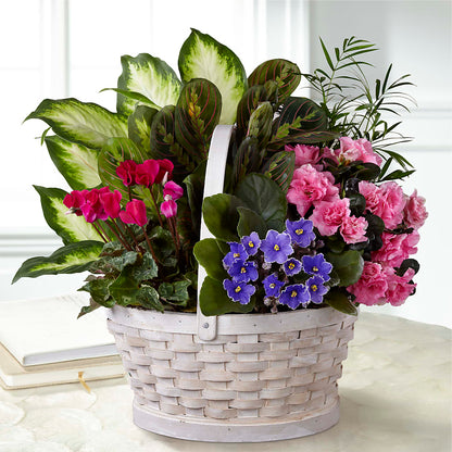 Peaceful Garden Planter –  Greenery Plus Florist, Monroe NY