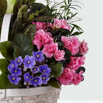 Peaceful Garden Planter –  Greenery Plus Florist, Monroe NY