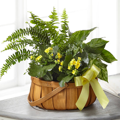 Always Dear Dishgarden –  Greenery Plus Florist, Monroe NY