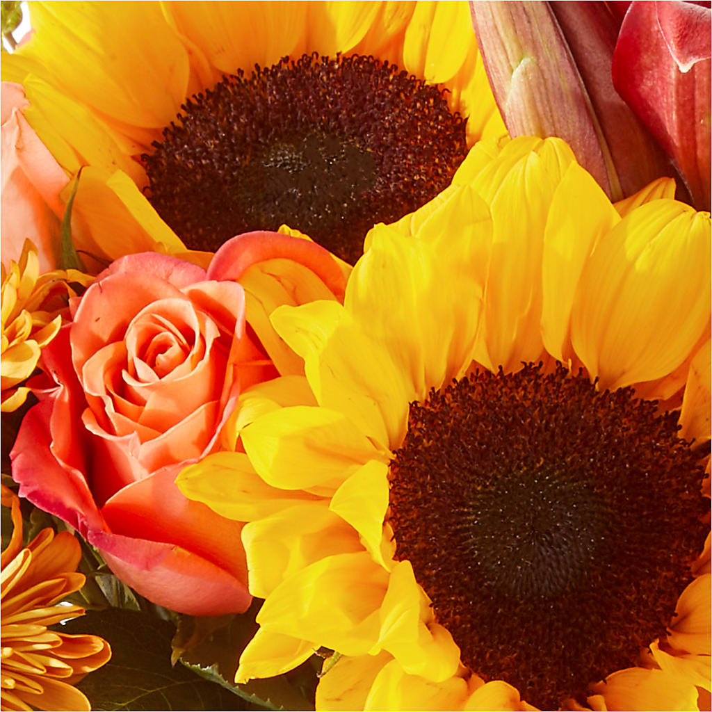 Acorn Lane Bouquet –  Greenery Plus Florist, Monroe NY