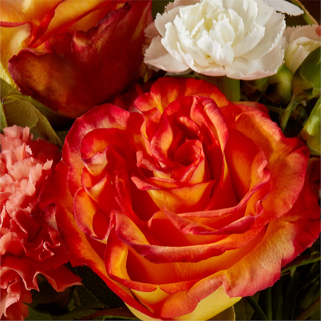 Apricot Glow Bouquet –  Greenery Plus Florist, Monroe NY