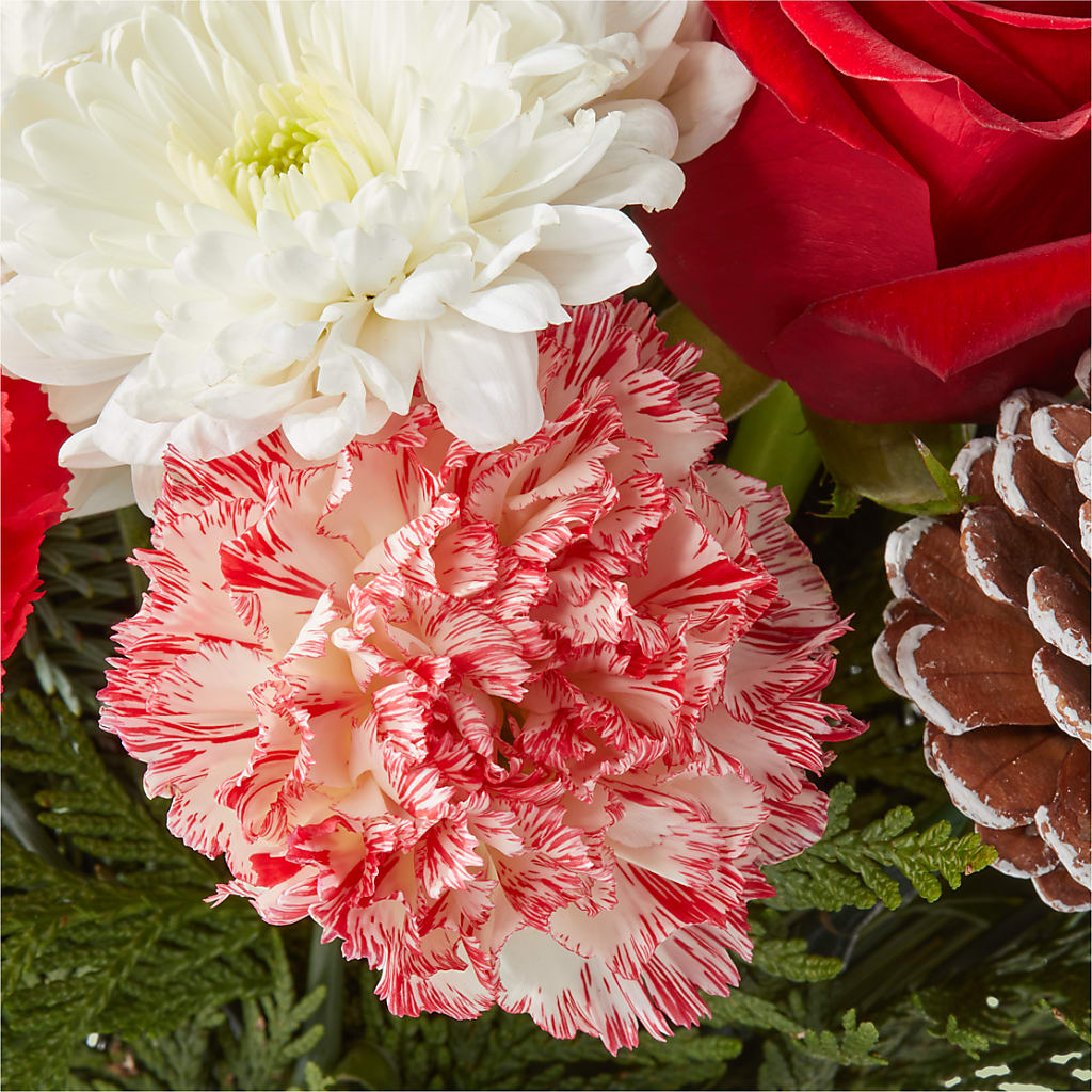 Candy Cane Lane Bouquet –  Greenery Plus Florist, Monroe NY