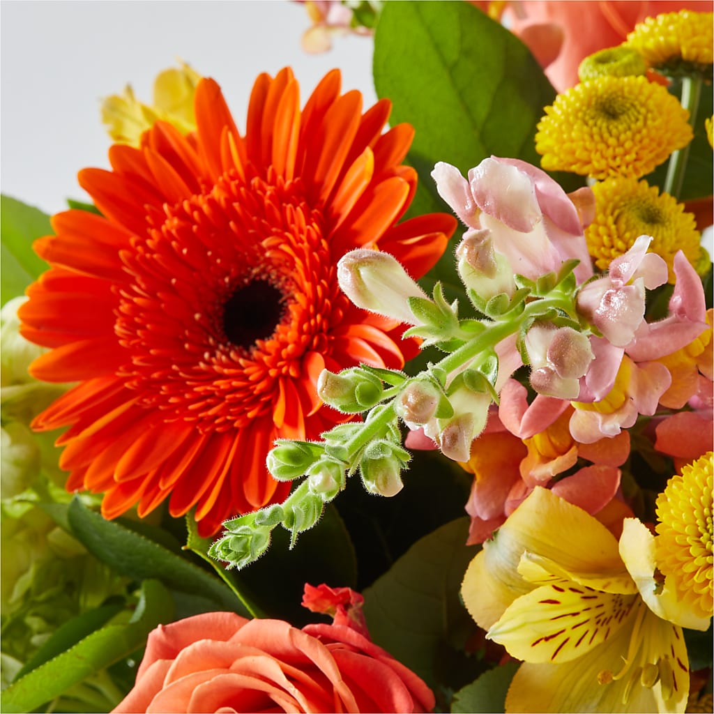 Autumn Sunshine Bouquet –  Greenery Plus Florist, Monroe NY
