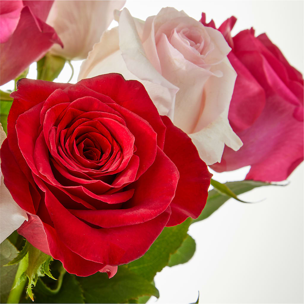 Charming Rose Bouquet –  Greenery Plus Florist, Monroe NY