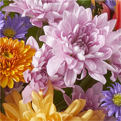 Countryside Bouquet –  Greenery Plus Florist, Monroe NY
